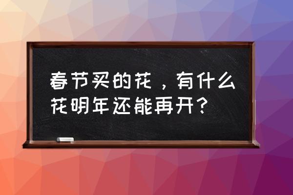 过年家里买什么植物最好 春节买的花，有什么花明年还能再开？