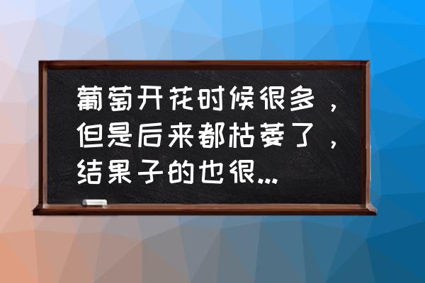 花刚开就枯萎了是什么原因 葡萄开花时候很多，但是后来都枯萎了，结果子的也很少是什么原因？