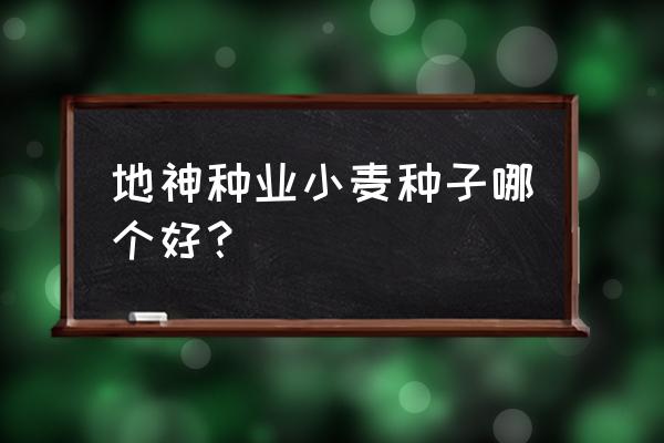 买什么小麦种子最好 地神种业小麦种子哪个好？