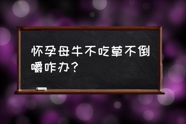 牛胃严重积食不反刍特效办法 怀孕母牛不吃草不倒嚼咋办？