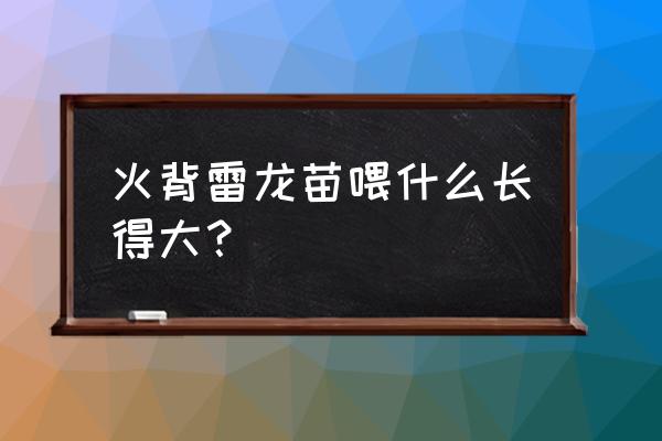 雷龙怎么养才长得快 火背雷龙苗喂什么长得大？