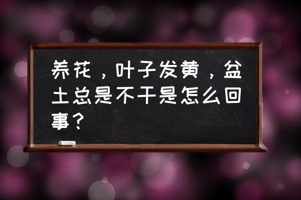 让花卉快速生长不黄叶的小方法 养花，叶子发黄，盆土总是不干是怎么回事？