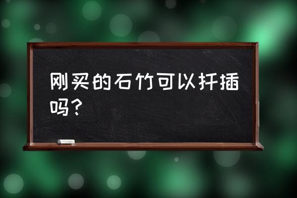 石竹什么时候扦插最好 刚买的石竹可以扦插吗？