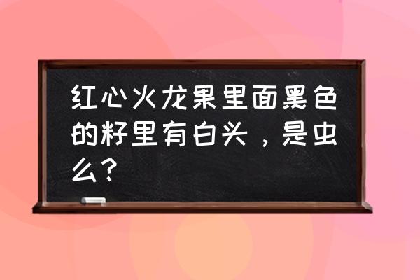 红心火龙果里面白色的是发芽了吗 红心火龙果里面黑色的籽里有白头，是虫么？