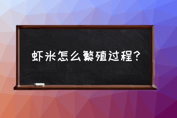 工厂化白对虾水泥池如何建造 虾米怎么繁殖过程？