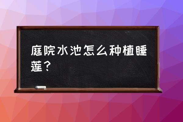 睡莲叶繁殖方法和注意事项 庭院水池怎么种植睡莲？