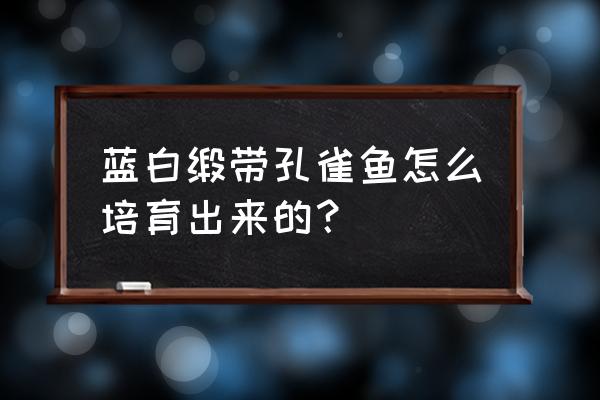 小鱼优选电商怎么加入 蓝白缎带孔雀鱼怎么培育出来的？