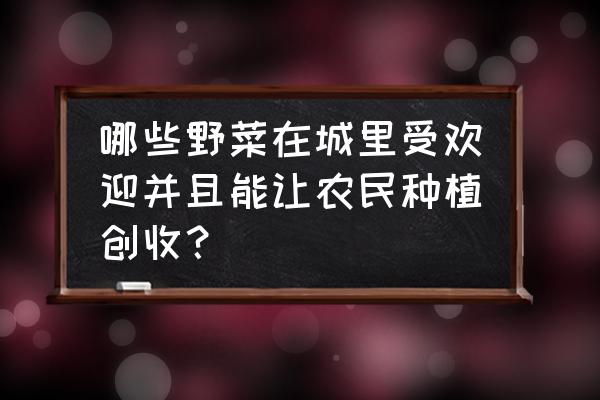 种植紫苏怎样找到销路 哪些野菜在城里受欢迎并且能让农民种植创收？