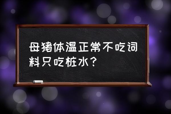 猪很正常不吃饲料有什么办法 母猪体温正常不吃词料只吃桩水？