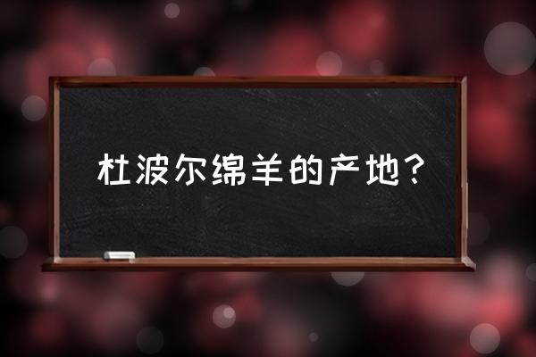 杜泊绵羊哪里最好养殖 杜波尔绵羊的产地？