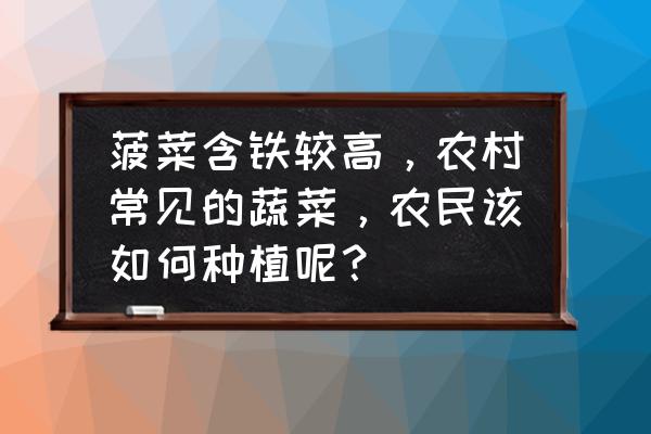 在家种菠菜的方法与步骤 菠菜含铁较高，农村常见的蔬菜，农民该如何种植呢？