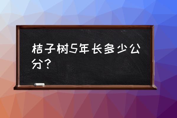 橘子树生长过程文字介绍 桔子树5年长多少公分？