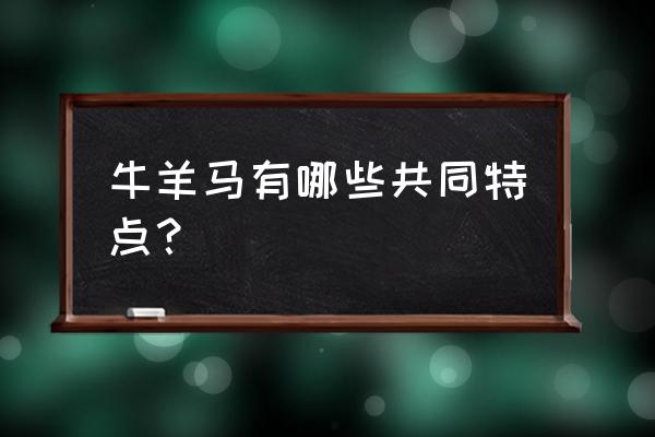 牛科羊亚科有哪些分类标准 牛羊马有哪些共同特点？