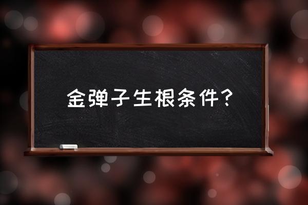 金弹子能从叶片上分公母吗 金弹子生根条件？