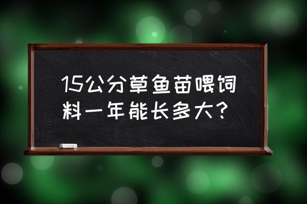 草鱼苗喂什么长得最快 15公分草鱼苗喂饲料一年能长多大？