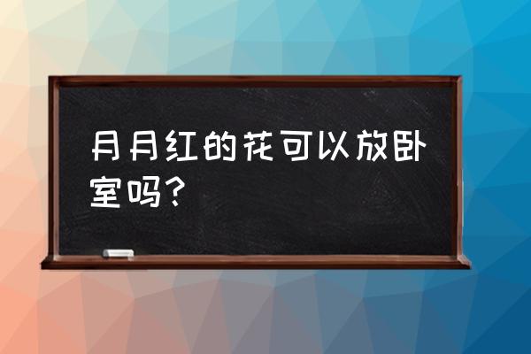 卧室适宜养什么花 月月红的花可以放卧室吗？