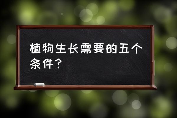 怎样能让植物更好生长 植物生长需要的五个条件？