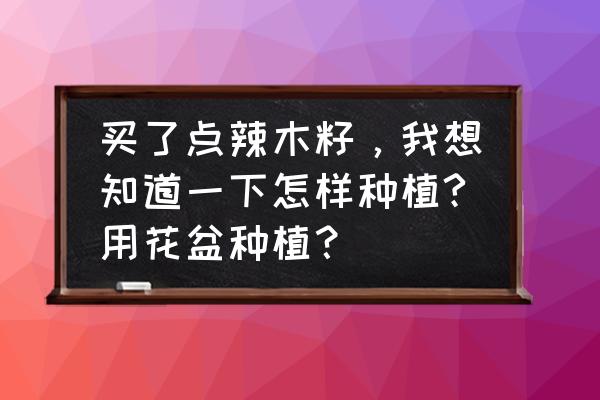 辣木籽适合在什么地方种植 买了点辣木籽，我想知道一下怎样种植?用花盆种植？