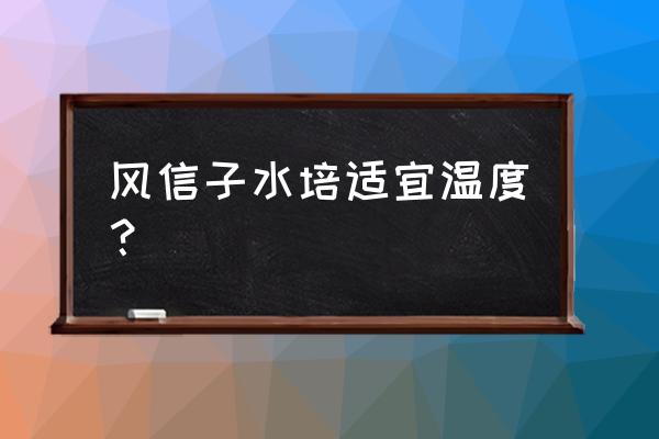 风信子春天多久浇一次水 风信子水培适宜温度？