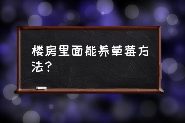 成功率大的种草莓方法 楼房里面能养草莓方法？