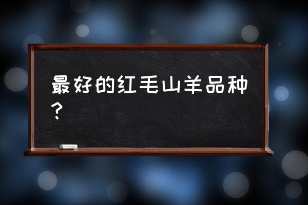 中国十大著名羊品种 最好的红毛山羊品种？