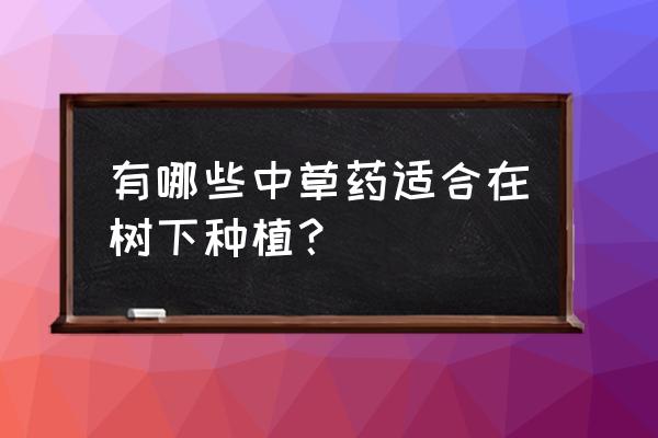 哪些草药适合家庭种植和观赏 有哪些中草药适合在树下种植？