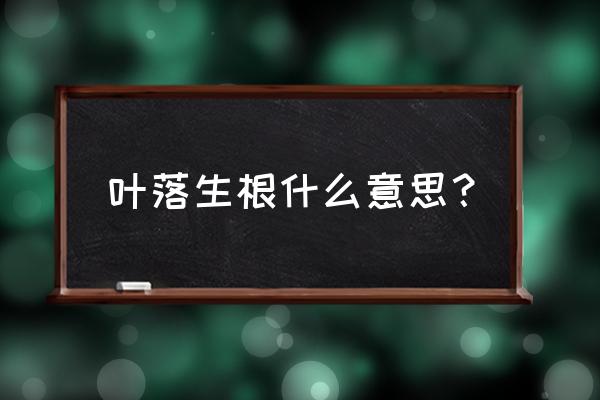 能在叶子上生根的植物 叶落生根什么意思？