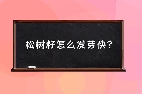 松树是怎样传播种子 松树籽怎么发芽快？