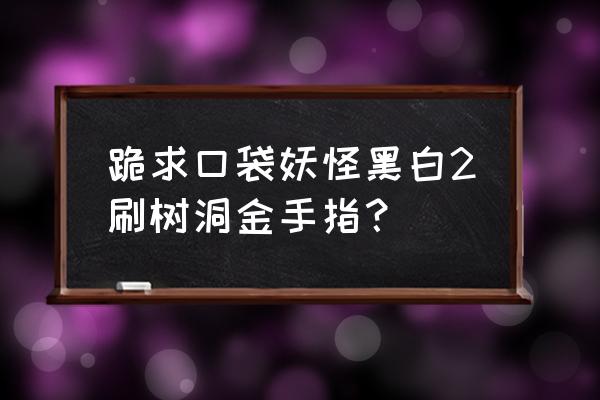 口袋妖怪黑白中文版金手指 跪求口袋妖怪黑白2刷树洞金手指？