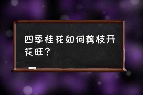 四季桂叶子发黄花干枯怎么办 四季桂花如何剪枝开花旺？