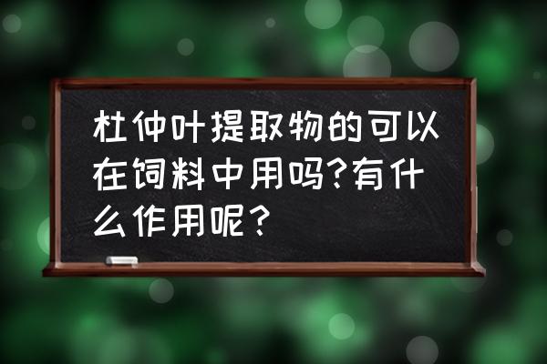 产蛋鸭饲料中添加什么中药好 杜仲叶提取物的可以在饲料中用吗?有什么作用呢？