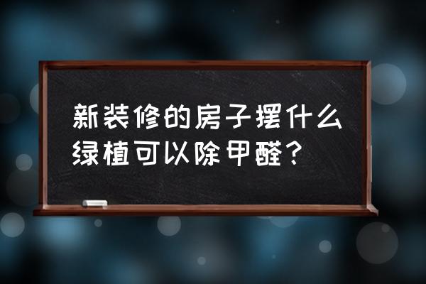 专治装修污染的神器 新装修的房子摆什么绿植可以除甲醛？