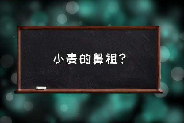 中国最早的小麦栽培至今多少年了 小麦的鼻祖？