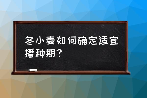 倒春寒护理小妙招 冬小麦如何确定适宜播种期？