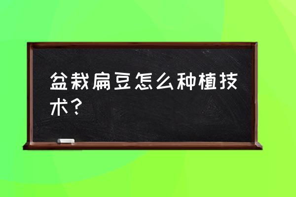 扁豆种植技术和管理方法 盆栽扁豆怎么种植技术？