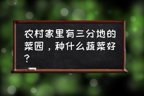 几种青菜可以混着炒吗 农村家里有三分地的菜园，种什么蔬菜好？