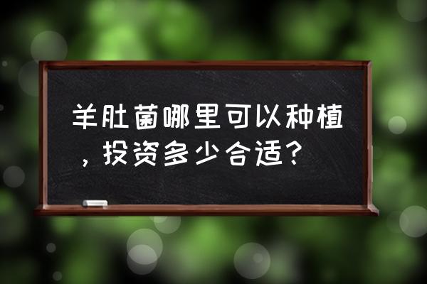 如何判断羊肚菌好坏 羊肚菌哪里可以种植，投资多少合适？