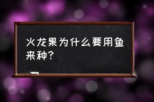 火龙果用什么肥料 火龙果为什么要用鱼来种？