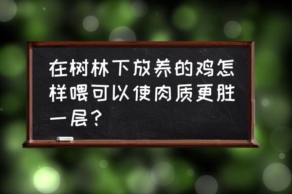 养鸡吃什么长得快 在树林下放养的鸡怎样喂可以使肉质更胜一层？