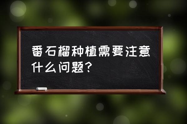 番石榴根结线虫防治方法是什么 番石榴种植需要注意什么问题？