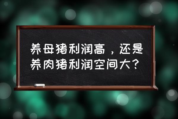 怎样养猪最赚钱呢 养母猪利润高，还是养肉猪利润空间大？