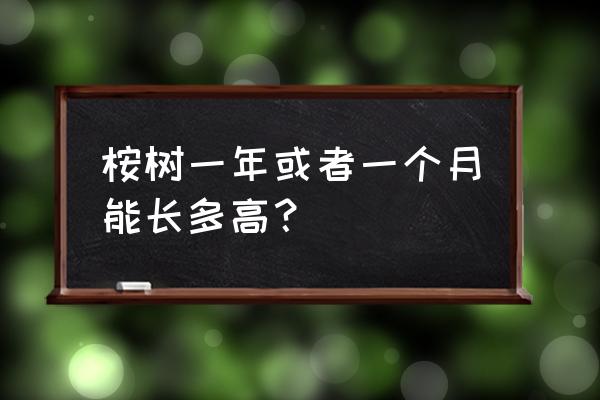 种桉树要怎么样才能长得快 桉树一年或者一个月能长多高？