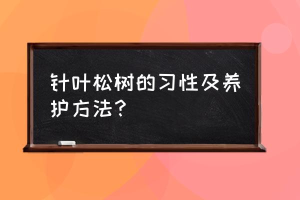 怎么判断天牛的公母 针叶松树的习性及养护方法？