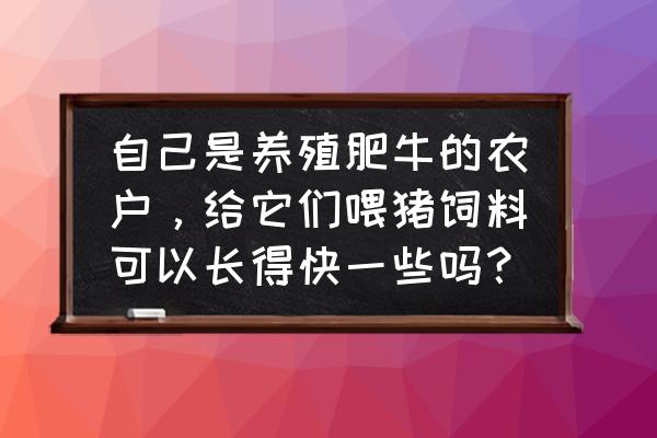 育肥牛怎么养能长得快 自己是养殖肥牛的农户，给它们喂猪饲料可以长得快一些吗？