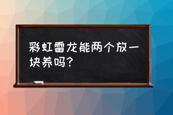 养彩虹雷龙鱼需要准备什么设备 彩虹雷龙能两个放一块养吗？