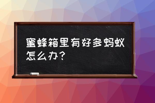 我的世界蜜蜂繁殖过多怎么办 蜜蜂箱里有好多蚂蚁怎么办？