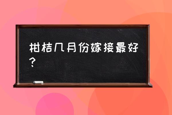 柑橘怎么嫁接何时嫁接最佳 柑桔几月份嫁接最好？