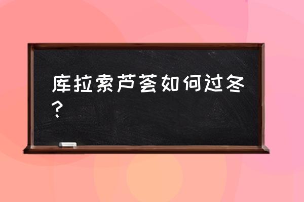 库拉索芦荟适合什么土壤种植 库拉索芦荟如何过冬？