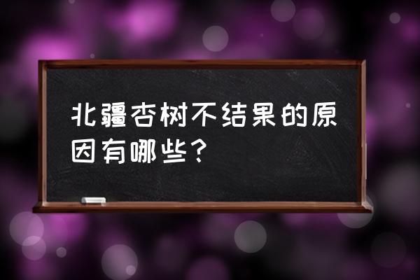 杏树第一年结果第二年不结怎么办 北疆杏树不结果的原因有哪些？