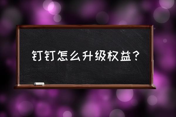 苹果笔记本钉钉怎么更新 钉钉怎么升级权益？